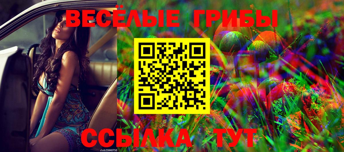 Псилоцибиновые грибы мицелий Губкин